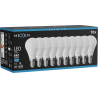 Mexen Nova 10x LED Bulb E14, G45, 8W, Cold - 6500K, 840 lm - L101-E14-0865-01x10