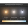 Mexen Vintis 10x LED Filament Bulb E27, G45, 2W, Warm - 2700K, 240 lm, clear - L156-E27-0227-00x10