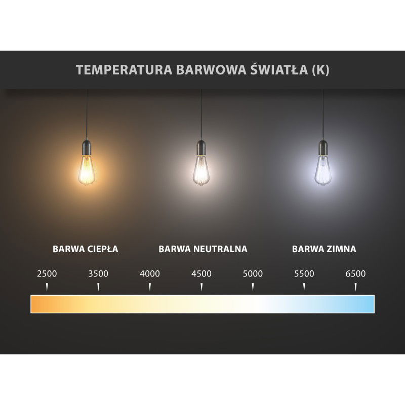 Mexen Vintis 6x LED Filament Bulb E27, G95, 10W, Warm - 2700K, 1320 lm, clear - L157-E27-1027-00x06
