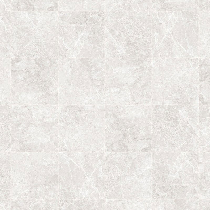 Mexen Lizard Silver Glazed Rectified Floor-Wall Tile G1, 60 x 60 cm, Glossy - TL109-060-060-03