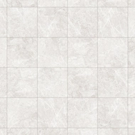 Mexen Lizard Silver Glazed Rectified Floor-Wall Tile G1, 60 x 60 cm, Glossy - TL109-060-060-03