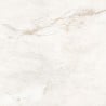 Mexen Brakel Gold Glazed Rectified Porcelain G1, Floor and Wall Tile 60 x 60 cm, Gloss - TL110-060-060-00