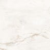 Mexen Brakel Gold Glazed Rectified Porcelain G1, Floor and Wall Tile 60 x 60 cm, Gloss - TL110-060-060-00