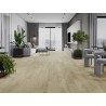 Mexen Calera sample of LVT Dryback vinyl panels 2.5 mm, PVC backing, 4 V-Groove, Oak - F1320-S
