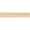 Mexen Avocado Ivory sample of glazed rectified G1 porcelain stoneware, wood-like floor-wall tile, matte - TL601-00-S
