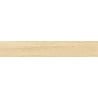Mexen Avocado Ivory sample of glazed rectified G1 porcelain stoneware, wood-like floor-wall tile, matte - TL601-00-S