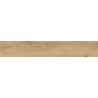 Mexen Avocado Rectified Glazed Stoneware Sample - Beige, Wood-Like Floor and Wall Tile, Matte Finish - TL601-01-S