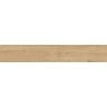 Mexen Avocado Rectified Glazed Stoneware Sample - Beige, Wood-Like Floor and Wall Tile, Matte Finish - TL601-01-S