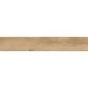 Mexen Avocado Rectified Glazed Stoneware Sample - Beige, Wood-Like Floor and Wall Tile, Matte Finish - TL601-01-S