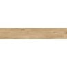 Mexen Avocado Rectified Glazed Stoneware Sample - Beige, Wood-Like Floor and Wall Tile, Matte Finish - TL601-01-S