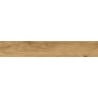 Mexen Avocado Honey glazed rectified porcelain stoneware sample, wood-like floor-wall tile, matte - TL601-03-S