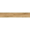Mexen Avocado Honey glazed rectified porcelain stoneware sample, wood-like floor-wall tile, matte - TL601-03-S