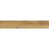 Mexen Avocado Honey glazed rectified porcelain stoneware sample, wood-like floor-wall tile, matte - TL601-03-S