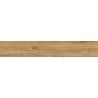 Mexen Avocado Honey glazed rectified porcelain stoneware sample, wood-like floor-wall tile, matte - TL601-03-S