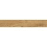 Mexen Avocado Honey glazed rectified porcelain stoneware sample, wood-like floor-wall tile, matte - TL601-03-S