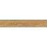 Mexen Avocado Honey glazed rectified porcelain stoneware sample, wood-like floor-wall tile, matte - TL601-03-S
