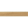 Mexen Avocado Honey glazed rectified porcelain stoneware sample, wood-like floor-wall tile, matte - TL601-03-S