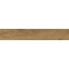Mexen Avocado Hazelnut glazed rectified gres sample, wood-like floor-wall tile, matte - TL601-04-S