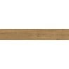 Mexen Avocado Hazelnut glazed rectified gres sample, wood-like floor-wall tile, matte - TL601-04-S