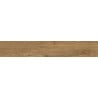 Mexen Avocado Hazelnut glazed rectified gres sample, wood-like floor-wall tile, matte - TL601-04-S