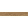 Mexen Avocado Hazelnut glazed rectified gres sample, wood-like floor-wall tile, matte - TL601-04-S