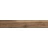 Mexen Future Brown sample of rectified glazed stoneware G1, wood-like floor-wall tile, matt - TL602-00-S