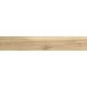 Mexen Future Greige Sample of Glazed Rectified Porcelain Tile G1, Wood-like Floor and Wall Tile, Matte - TL602-01-S