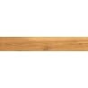 Mexen Future Honey glazed rectified porcelain stoneware sample, wood-like floor-wall tile, matte - TL602-03-S