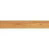 Mexen Future Honey glazed rectified porcelain stoneware sample, wood-like floor-wall tile, matte - TL602-03-S