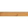 Mexen Future Honey glazed rectified porcelain stoneware sample, wood-like floor-wall tile, matte - TL602-03-S