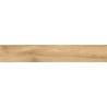 Mexen Future Natilla glazed rectified gres sample. G1, wood-like floor-wall tile, matte - TL602-04-S