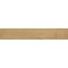 Mexen Gaatha Almond glazed rectified stoneware sample, wood-like floor and wall tile, matte - TL603-00-S