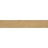 Mexen Gaatha Almond glazed rectified stoneware sample, wood-like floor and wall tile, matte - TL603-00-S