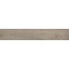 Mexen Gaatha Tortora glazed rectified stoneware sample. G1, wood-like floor and wall tile, matte - TL603-03-S