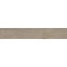Mexen Gaatha Tortora glazed rectified stoneware sample. G1, wood-like floor and wall tile, matte - TL603-03-S