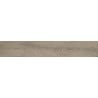 Mexen Gaatha Tortora glazed rectified stoneware sample. G1, wood-like floor and wall tile, matte - TL603-03-S