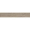 Mexen Gaatha Tortora glazed rectified stoneware sample. G1, wood-like floor and wall tile, matte - TL603-03-S