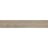 Mexen Gaatha Tortora glazed rectified stoneware sample. G1, wood-like floor and wall tile, matte - TL603-03-S