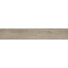 Mexen Gaatha Tortora glazed rectified stoneware sample. G1, wood-like floor and wall tile, matte - TL603-03-S
