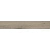 Mexen Gaatha Tortora glazed rectified stoneware sample. G1, wood-like floor and wall tile, matte - TL603-03-S