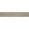 Mexen Gaatha Tortora glazed rectified stoneware sample. G1, wood-like floor and wall tile, matte - TL603-03-S