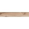 Mexen Indica Beige glazed rectified gres sample, wood-like floor-wall tile, matte - TL604-00-S