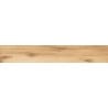 Mexen Indica Honey glazed rectified porcelain stoneware sample G1, wood-like floor-wall tile, matte - TL604-03-S