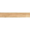 Mexen Indica Honey glazed rectified porcelain stoneware sample G1, wood-like floor-wall tile, matte - TL604-03-S