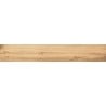 Mexen Indica Honey glazed rectified porcelain stoneware sample G1, wood-like floor-wall tile, matte - TL604-03-S