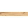 Mexen Indica Honey glazed rectified porcelain stoneware sample G1, wood-like floor-wall tile, matte - TL604-03-S
