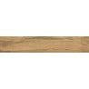 Mexen Jasperwood Almond glazed rectified stoneware sample G1, wood-like floor-wall tile, matte - TL605-00-S