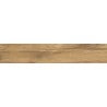 Mexen Jasperwood Almond glazed rectified stoneware sample G1, wood-like floor-wall tile, matte - TL605-00-S