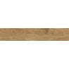 Mexen Jasperwood Almond glazed rectified stoneware sample G1, wood-like floor-wall tile, matte - TL605-00-S