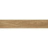 Mexen Jasperwood Almond glazed rectified stoneware sample G1, wood-like floor-wall tile, matte - TL605-00-S